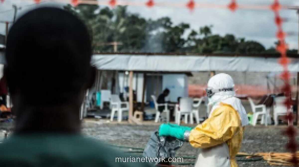 Kasus Ebola Dikonfirmasi di Wilayah Pemberontak Kongo, Wabah Meluas ke Kivu Selatan