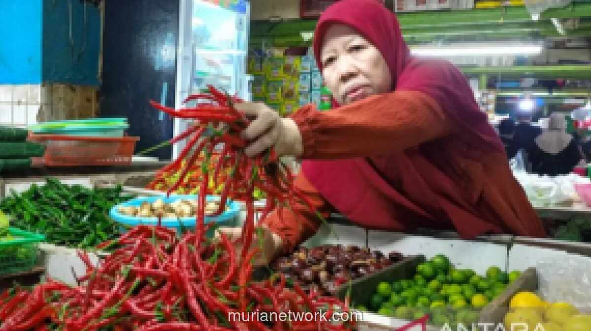 Pemprov DKI Imbau Warga Tak Panic Buying Jelang Iduladha di Tengah Lonjakan Harga Pangan