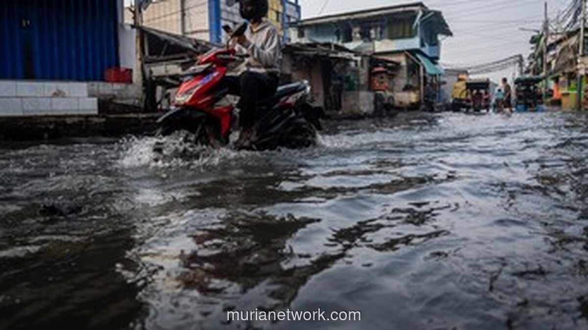 BPBD DKI Peringatkan Potensi Banjir Rob di 12 Wilayah Jakarta pada 27 Mei hingga 5 Juni 2026