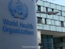 WHO: Risiko Wabah Hantavirus di Kapal Pesiar Atlantik Rendah untuk Publik