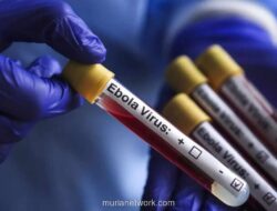 WHO: Tingkat Kematian Ebola Bundibugyo Capai 50 Persen, Vaksin Baru Tersedia dalam Beberapa Bulan
