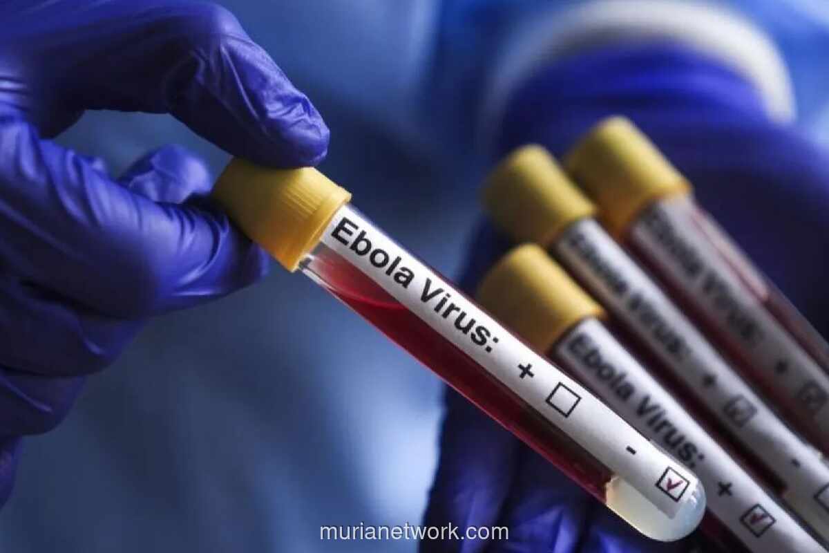 WHO: Tingkat Kematian Ebola Bundibugyo Capai 50 Persen, Vaksin Baru Tersedia dalam Beberapa Bulan