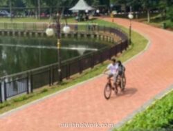 Mayoritas Pengunjung Malam Hari di Ragunan Datang untuk Jogging, Bukan Lihat Satwa