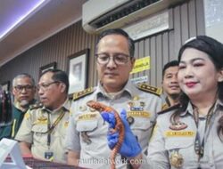 Ratusan Satwa Diselundupkan dalam Legging, Petugas Gagalkan Aksi WNA Thailand di Bandara Soekarno-Hatta