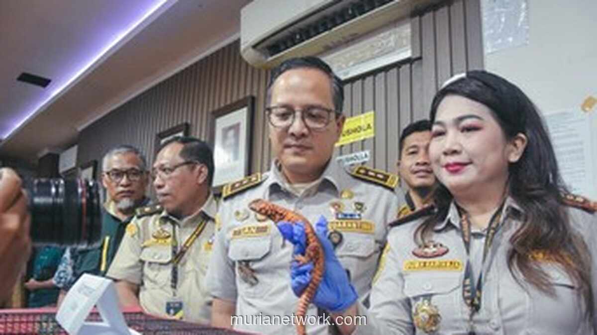Ratusan Satwa Diselundupkan dalam Legging, Petugas Gagalkan Aksi WNA Thailand di Bandara Soekarno-Hatta