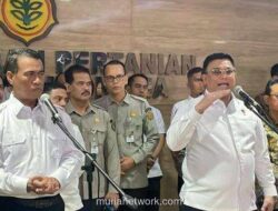 300 Perusahaan Sawit Diperiksa karena Harga TBS Tak Wajar di Tengah Pelemahan Rupiah