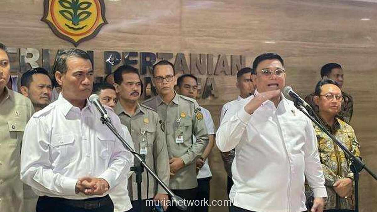 300 Perusahaan Sawit Diperiksa karena Harga TBS Tak Wajar di Tengah Pelemahan Rupiah