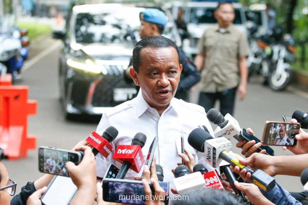 Menteri ESDM Akui Pasokan Batu Bara Kalori Sedang Terhambat, Pemerintah Kaji Ulang Harga DMO