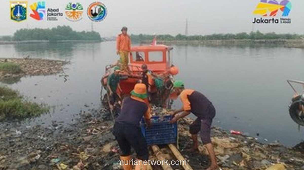 Pesisir Muara Angke Bersih, 8,8 Ton Sampah Diangkut Usai Bentuk Pulau dan Resahkan Warga