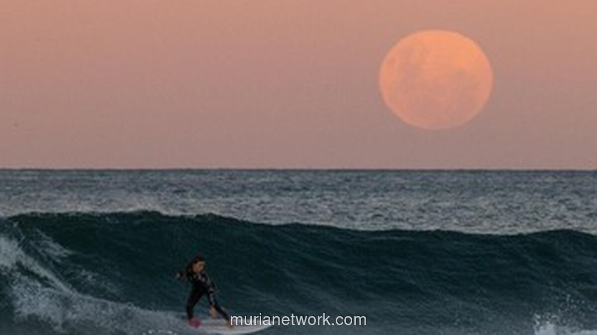 BMKG Peringatkan Potensi Banjir Rob Akibat Super New Moon pada Juni 2026