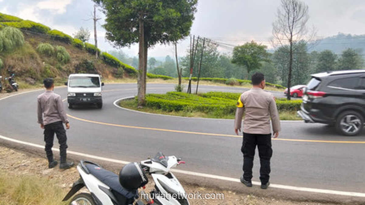 Viral Pria Jadi Tukang Parkir Liar di Kebun Teh Rancabali, Polisi Buru Pelaku