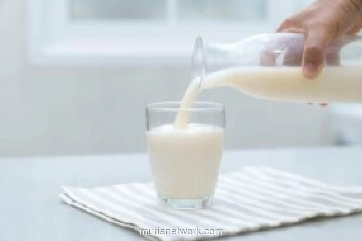 Gerakan Minum Susu Nasional Berpotensi Picu Gangguan Pencernaan Tanpa Pendampingan Pemerintah