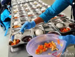 Ormas Dinilai Punya Peran Strategis dalam Edukasi Gizi Cegah Stunting