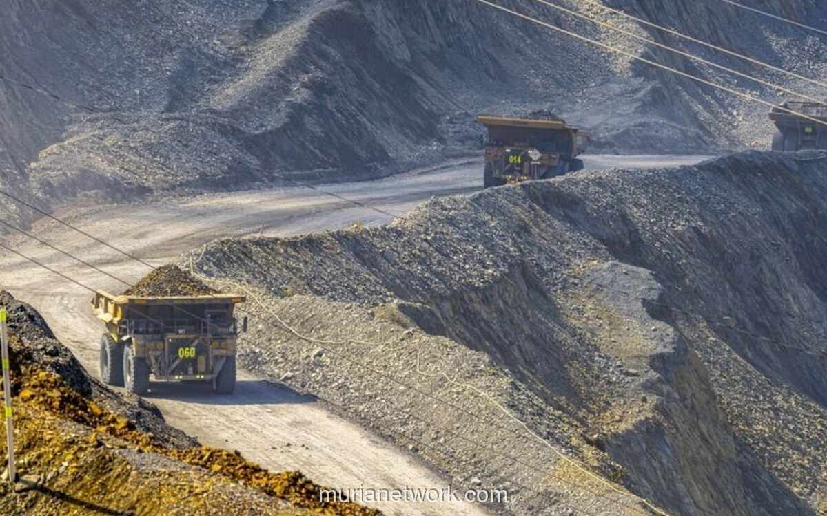 Prospek Cerah, Saham Amman Mineral (AMMN) Diproyeksi Cetak Laba Tertinggi pada 2026