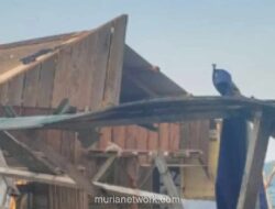 Angin Kencang Terjang Lingga dan Dairi, 92 Rumah Rusak