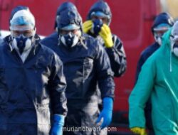 Australia Kehilangan Status Bebas Flu Burung H5 Setelah Kasus Pertama Ditemukan pada Burung Liar
