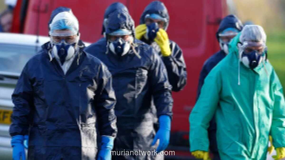 Australia Kehilangan Status Bebas Flu Burung H5 Setelah Kasus Pertama Ditemukan pada Burung Liar