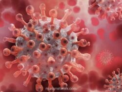 Menkes: Sebagian Masyarakat Indonesia Sudah Miliki Antibodi Hantavirus