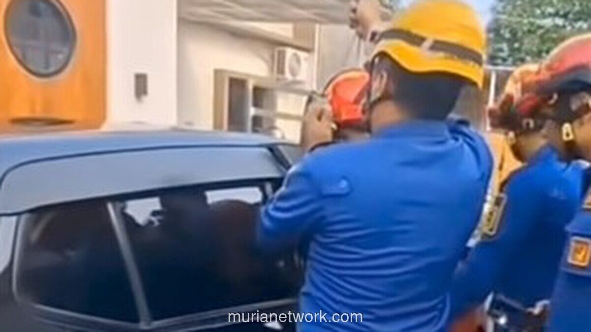 Balita Terkunci Sendirian di Dalam Mobil di Cibinong, Damkar Evakuasi dalam 15 Menit