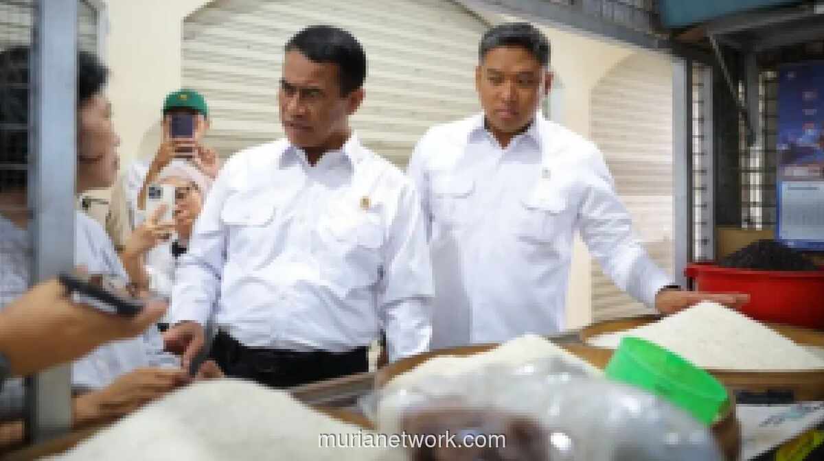 Stok Beras Pemerintah Capai 5,3 Juta Ton, Tertinggi Sepanjang Sejarah Indonesia