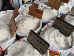 Pemerintah Pastikan Stok Beras Nasional Melimpah, Capai 5,3 Juta Ton Usai Raih Swasembada Pangan
