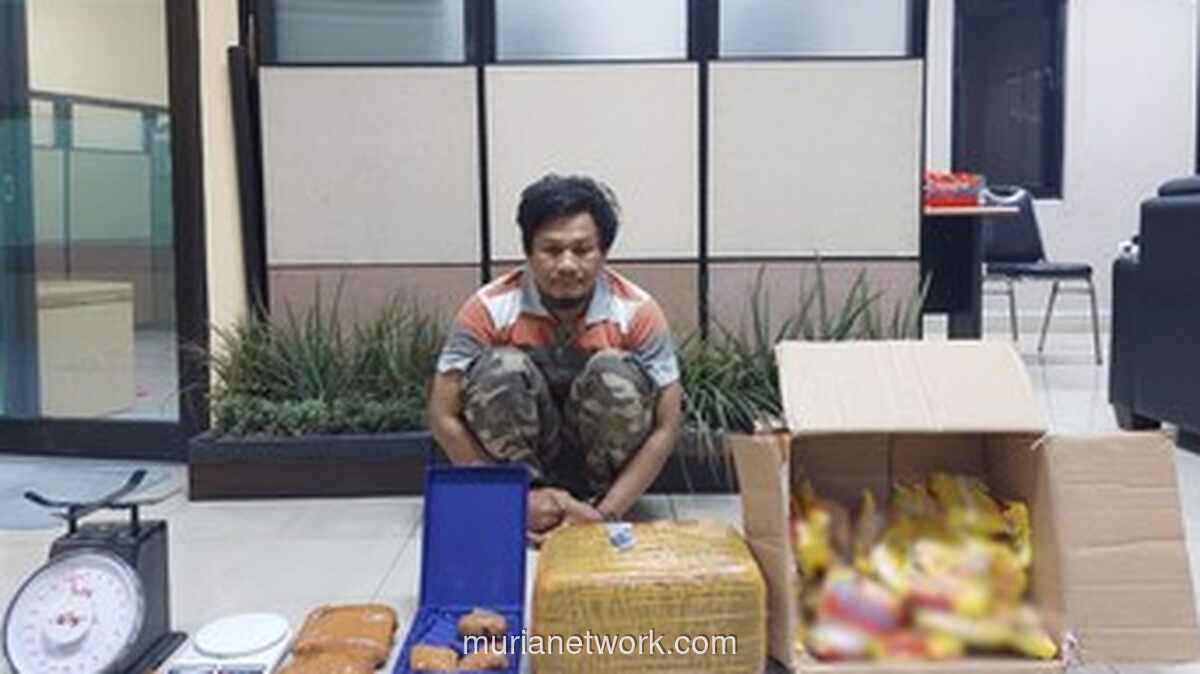 Polri Gagalkan Pengiriman 5,3 Kg Ganja dalam Paket Mi Instan ke Malang, Satu Kurir Ditangkap