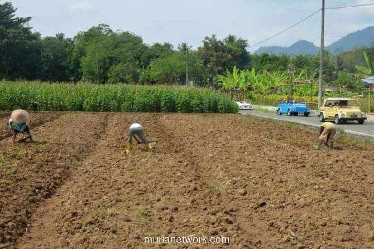 ATR/BPN Ingatkan Prosedur Pemisahan Bidang Tanah, Ini Syarat dan Tahapannya