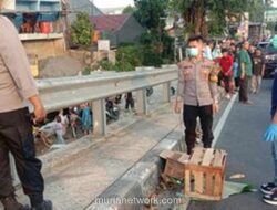 Warga Depok Heboh Temuan Diduga Mayat Bayi di Bawah Flyover, Ternyata Bangkai Kucing
