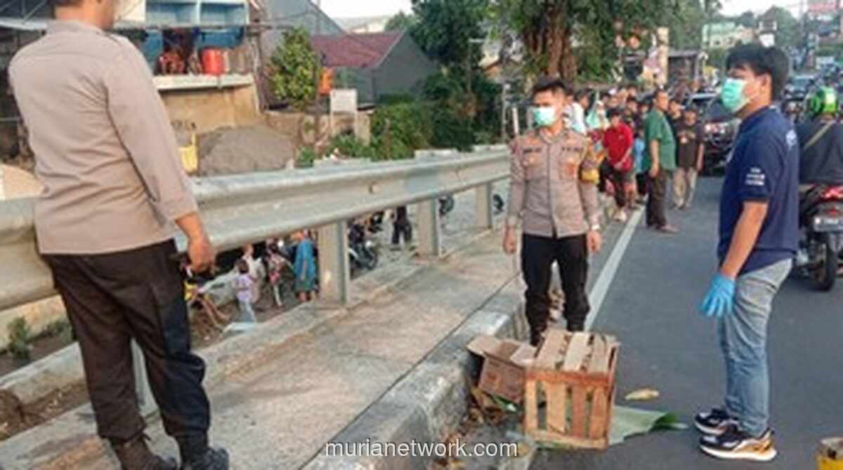 Warga Depok Heboh Temuan Diduga Mayat Bayi di Bawah Flyover, Ternyata Bangkai Kucing