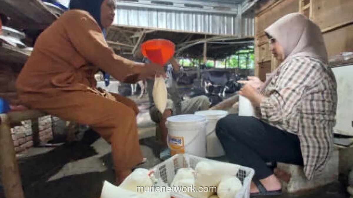 Tradisi Minum Susu Murni di Malam 1 Muharram, Permintaan Melonjak 2.500 Liter per Hari