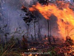 BMKG Peringatkan Musim Kemarau 2026 Lebih Panjang dan Kering, Puncak Kekeringan di Agustus