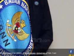 BNN Bantah Penangkapan Calon Ketum HIPMI Terkait Operasi Narkotika di Bandara Soekarno-Hatta