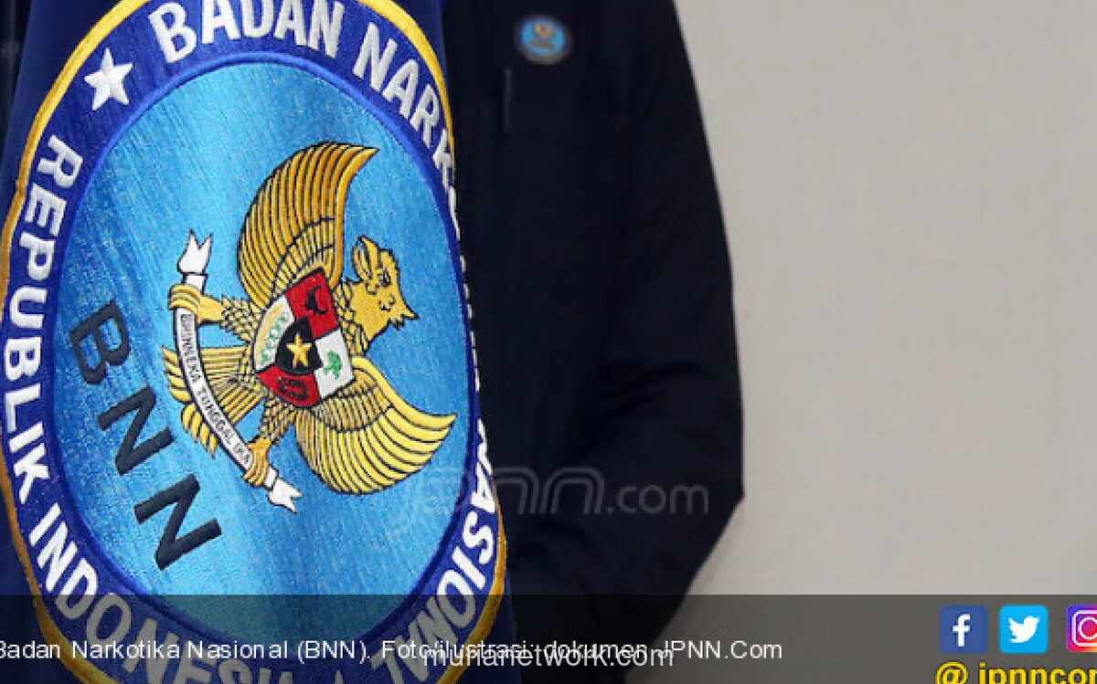 BNN Bantah Penangkapan Calon Ketum HIPMI Terkait Operasi Narkotika di Bandara Soekarno-Hatta