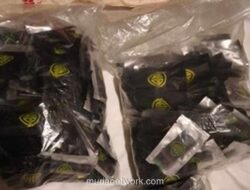 BNNP Kepri Sita 246 Botol Cairan Vape Diduga Mengandung Narkotika di Batam dan Karimun