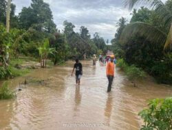 BNPB Catat Empat Bencana Landa Sejumlah Wilayah Indonesia dalam 24 Jam