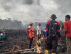 BNPB: 80 Persen Karhutla di Aceh Barat Berhasil Dipadamkan, Angin Kencang Jadi Kendala