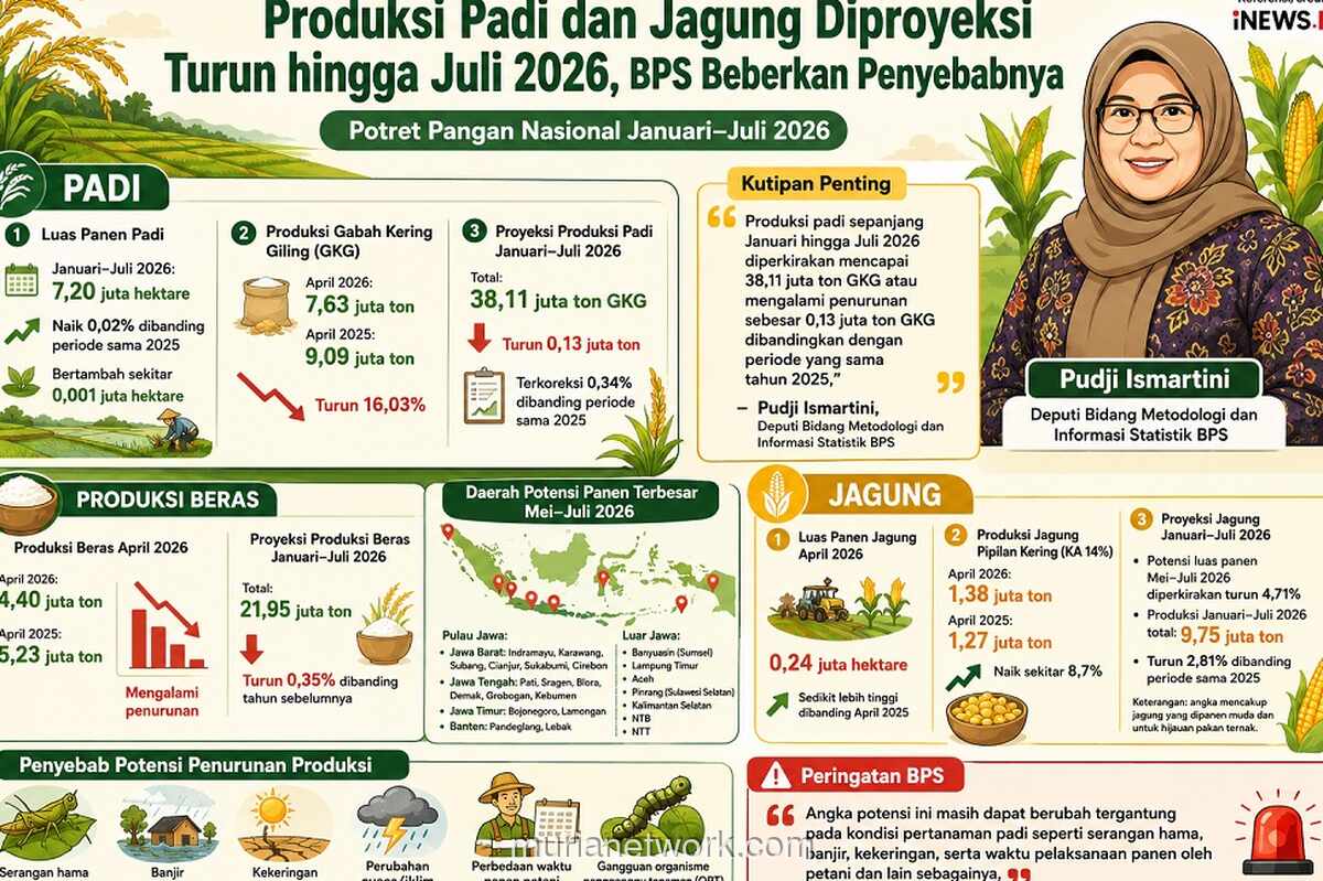 Produksi Beras Nasional Januari-Juli 2026 Diprediksi Turun 0,35 Persen, BPS Catat Penurunan Signifikan pada April
