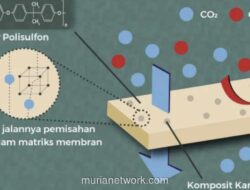 PLN EPI: Limbah Cair Sawit Berpotensi Tekan Emisi Metana 20 Juta Ton per Tahun