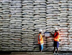 Bulog Serap 3 Juta Ton Gabah dan Beras, Capai 75 Persen Target Nasional