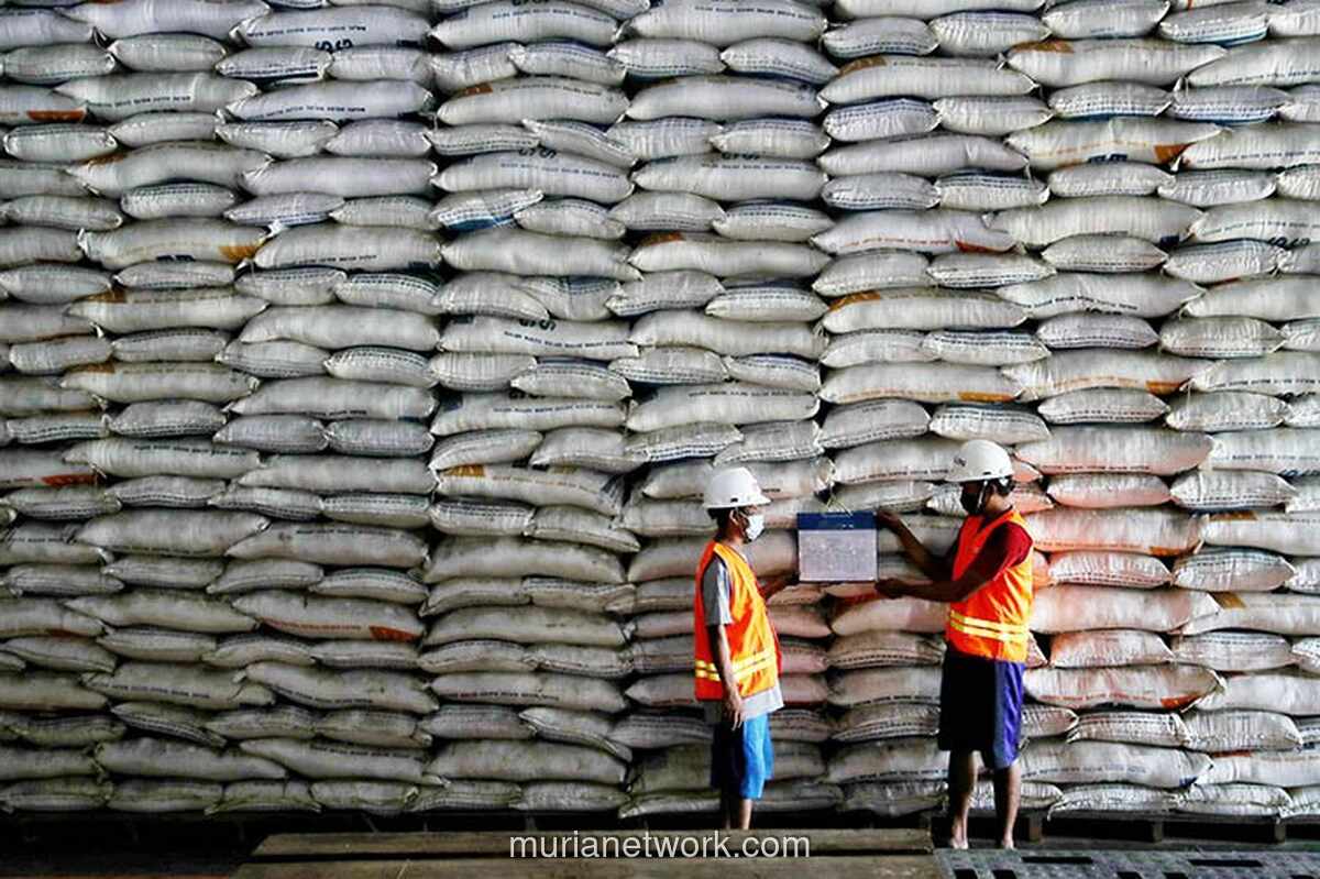 Bulog Serap 3 Juta Ton Gabah dan Beras, Capai 75 Persen Target Nasional