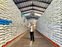 BULOG Serap 3 Juta Ton Beras dari Petani dalam Enam Bulan, Dekati Target Tahunan 2026
