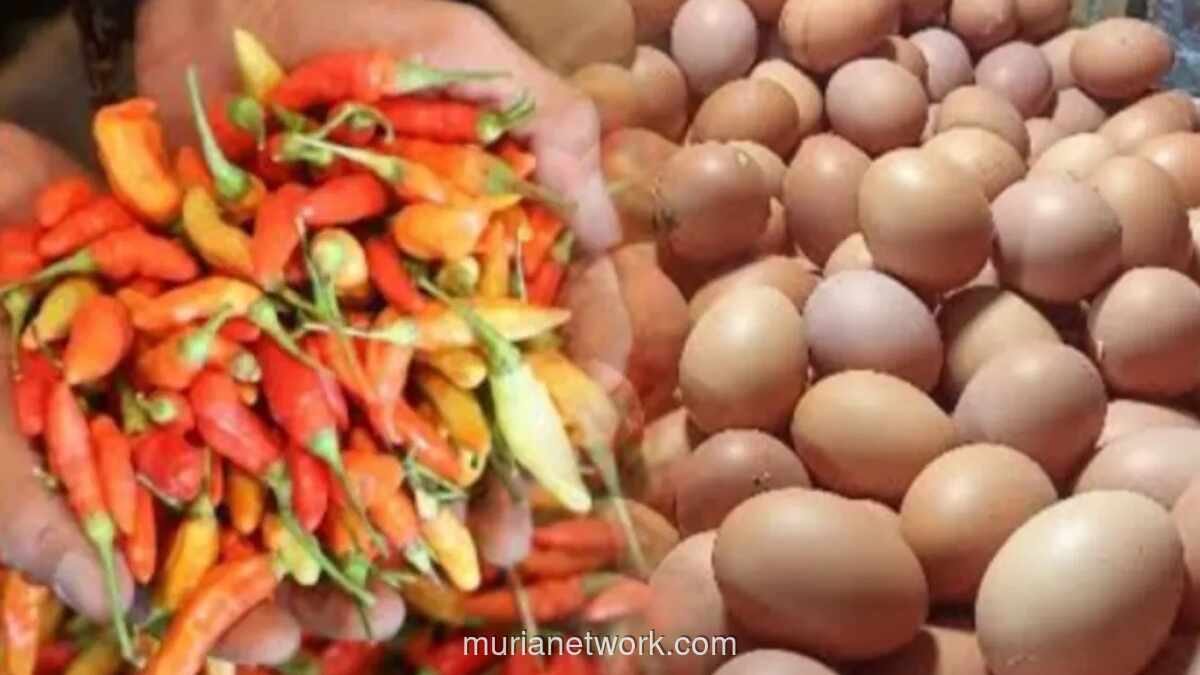 Harga Cabai Rawit Merah Tembus Rp74.550 per Kilogram, Tertinggi di Antara Bahan Pokok