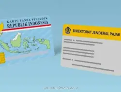 Panduan Lengkap Membuat NPWP Online via Coretax DJP, Tak Perlu ke Kantor Pajak