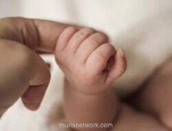Pengajuan Akta Kelahiran Kini Bisa Lewat Aplikasi IKD, Dirjen Dukcapil: Proses Lebih Cepat dan Aman
