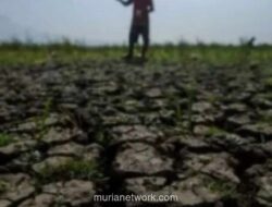 Pemkab Bekasi Petakan Lima Kecamatan Rawan Kekeringan, Antisipasi Gagal Panen di Musim Kemarau