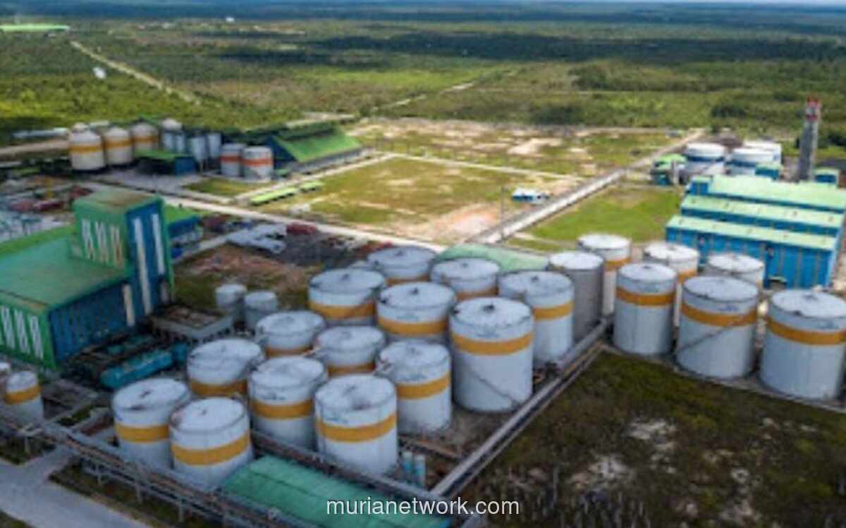 CBUT Targetkan Kinerja Tahun Ini Terdongkrak Program B50 dan Pabrik Baru