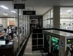 Pemadaman Listrik Ancam Produktivitas, Genset Jadi Andalan Industri