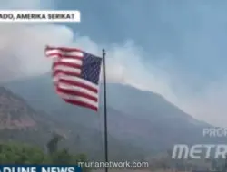 Tiga Petugas Pemadam Tewas saat Lawan Kebakaran Hutan di Colorado