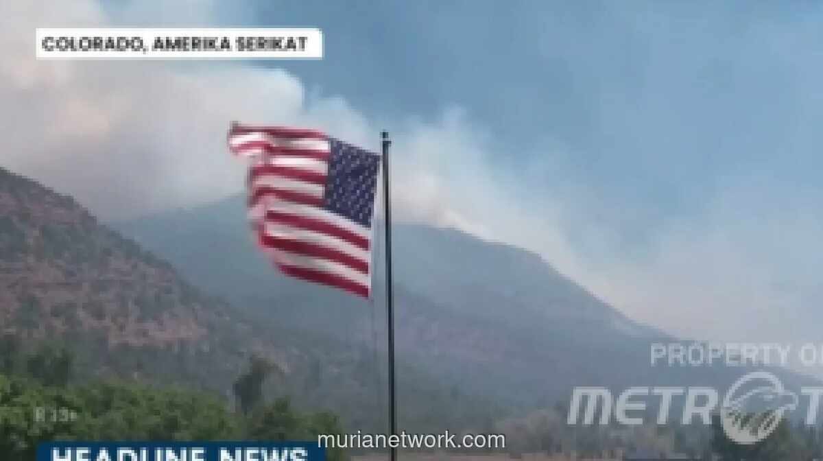 Tiga Petugas Pemadam Tewas saat Lawan Kebakaran Hutan di Colorado