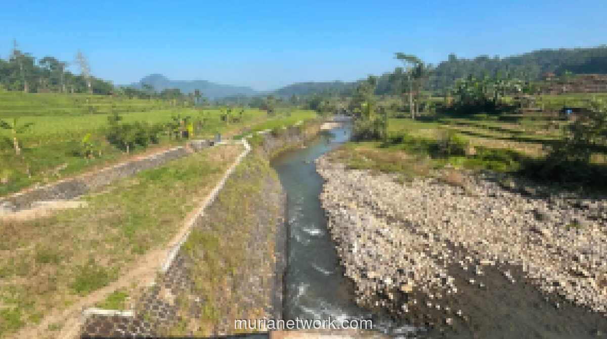 Debit Air Irigasi di Cianjur Selatan Mulai Menyusut, Pasokan Dinilai Masih Cukup Hingga Akhir Musim Tanam